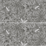 Плитка из натурального камня «АНТИК», 300х150х12мм, серпентинит